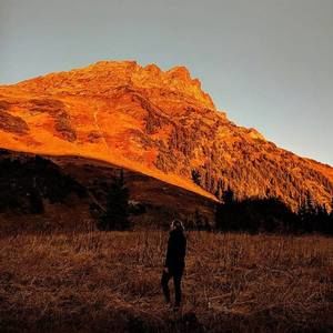 Meet your Posher, Camille